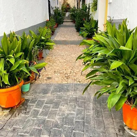 Mi Rincon Favorito Apartamento Cogollos De La Vega